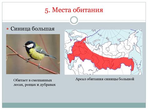 Устройство места обитания