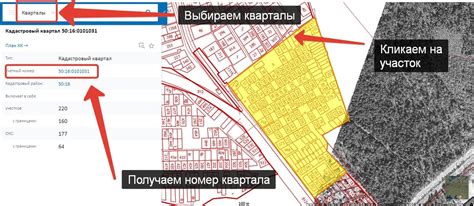 Уточнение кадастрового номера через единую информационную систему