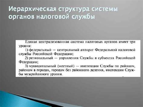 Учетные системы налоговой службы