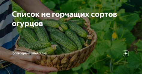 Факторы, влияющие на горечь огурцов