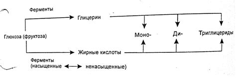 Факторы, влияющие на накопление эстрогена в организме