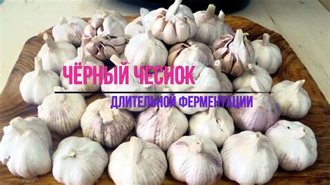 Ферментация чеснока для увеличения его срока годности