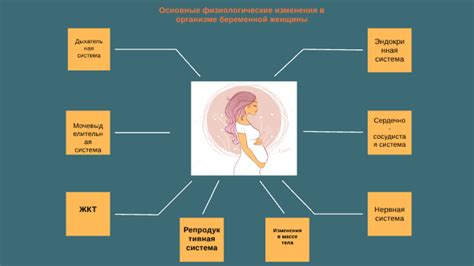 Физиологические процессы при беременности