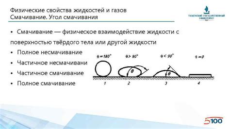 Физические основы смачивания