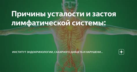 Физические признаки нарушений лимфатической системы