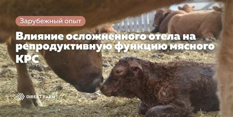 Физические упражнения и их влияние на репродуктивную функцию