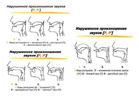 Физический процесс произношения звука р