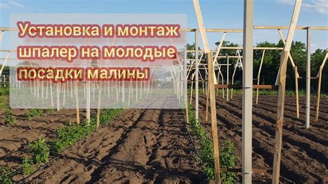 Фиксация и установка шпалеры