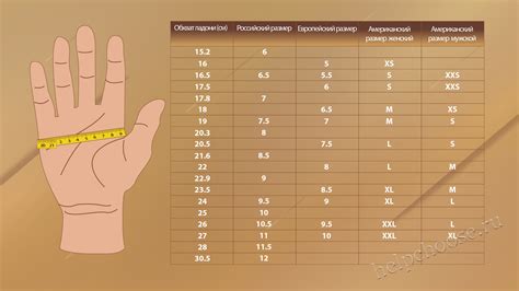 Форма и размеры руки