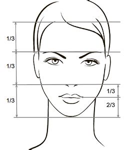 Форма лица и косметические пропорции