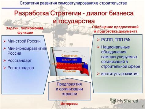 Функции и полномочия института саморегулирования