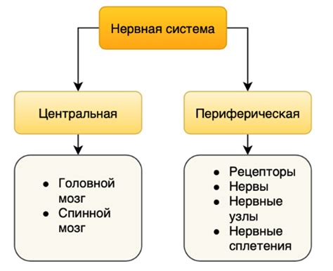 Функции системы: