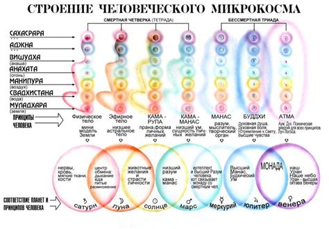 Фуюань и энергетические меридианы