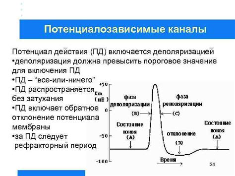 Хаотичное обратное отклонение штока