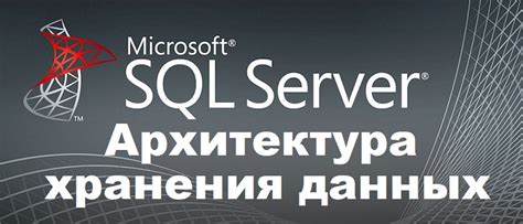 Хранение данных в SQL Server