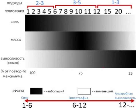 Частота и количество повторений