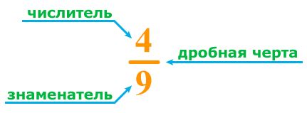 Числитель и знаменатель дроби