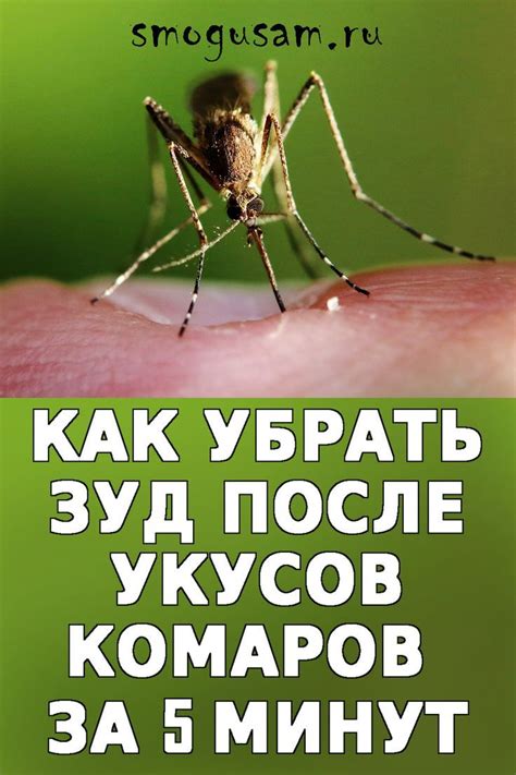 Что делать после укуса комара: первая помощь и средства от зуда