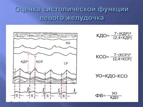 Что такое КДО и как оно работает: основные принципы и объяснение