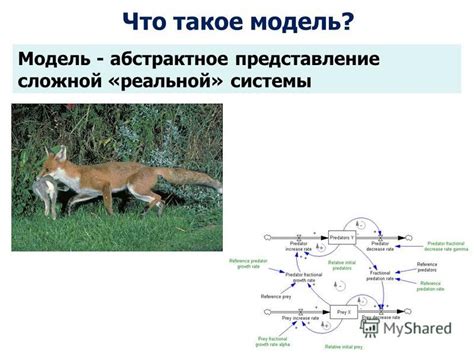 Что такое Оперативное моделирование водных объектов