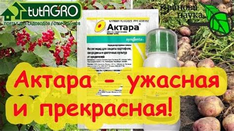 Что такое актара и как использовать ее в саду