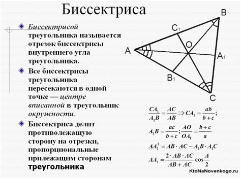 Что такое биссектриса треугольника