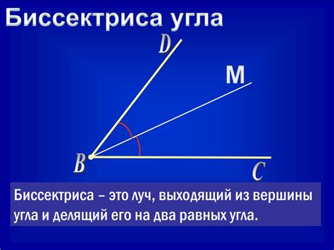 Что такое биссектриса угла?