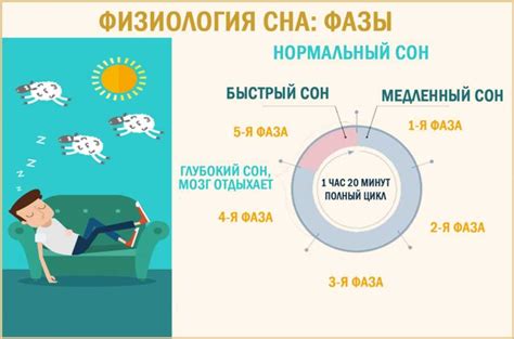 Что такое быстрый сон: суть и значение