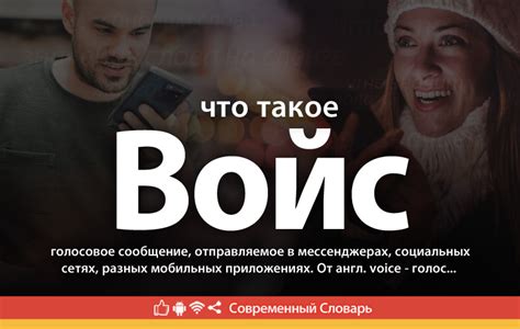 Что такое войс овер?