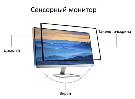 Что такое дисплей в информатике?