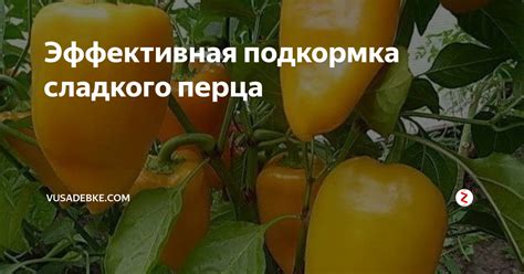 Что такое кожура перца?