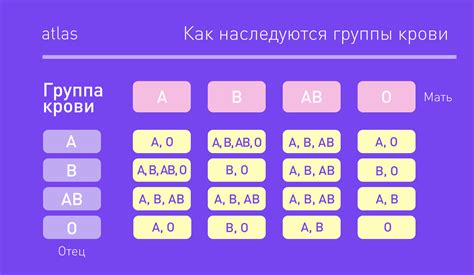 Что такое кровь группа и почему это важно для медицины