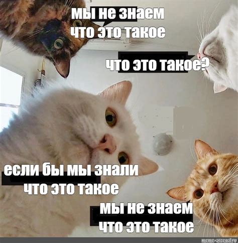 Что такое мы?