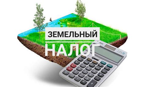 Что такое налог на землю СНТ?