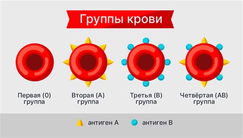 Что такое плотность крови