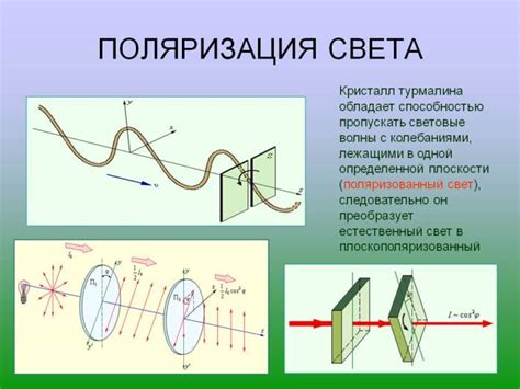 Что такое поляризация