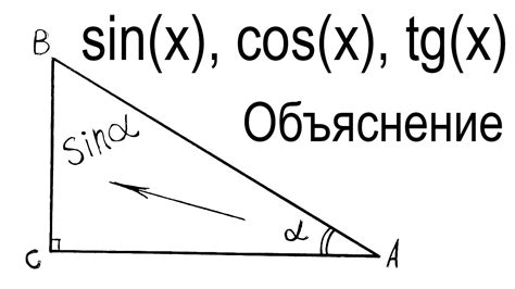 Что такое синус и косинус?