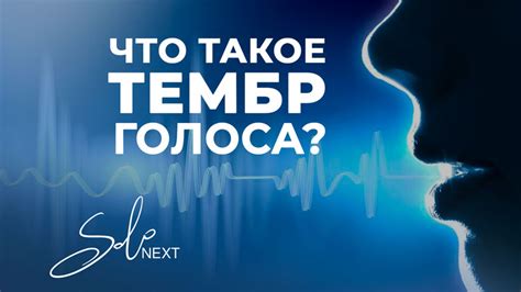 Что такое тембр голоса?