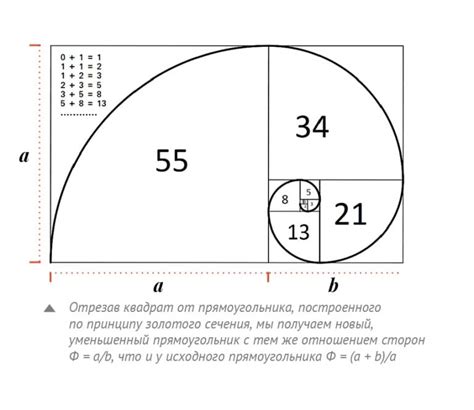 Что такое фибоначчи?