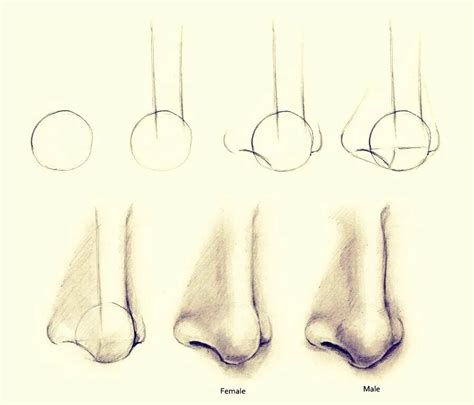 Шаги для рисования носа Есенина: