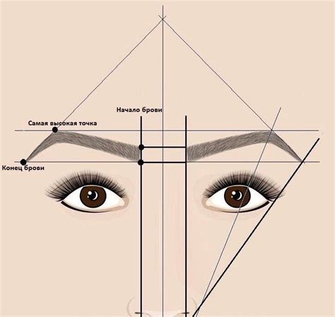Шаги для создания идеальных бровей: