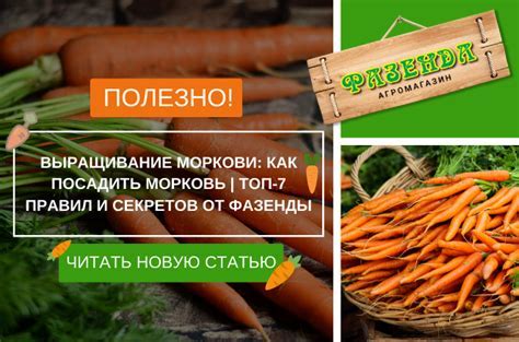 Шаги по очистке семечек от кожуры