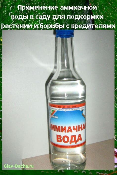 Шаги по приготовлению аммиачной воды: