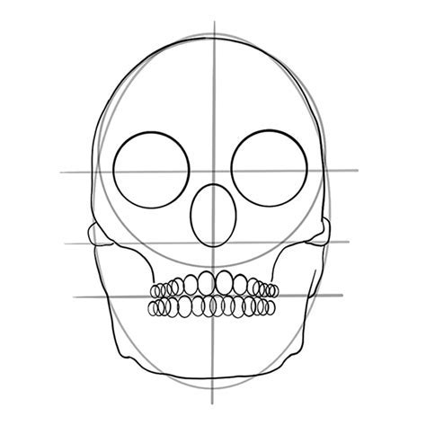 Шаги по рисованию черепа в анфас: