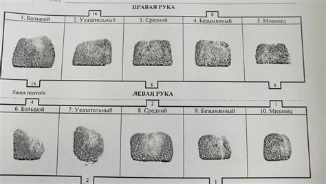 Шаги по созданию дактилоскопической карты дома