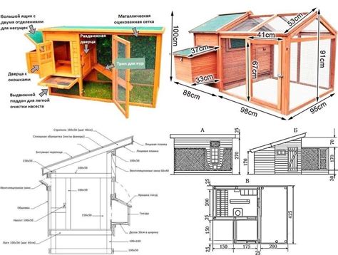 Шаги по строительству курятника