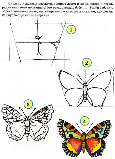 Шаги рисования бабочки