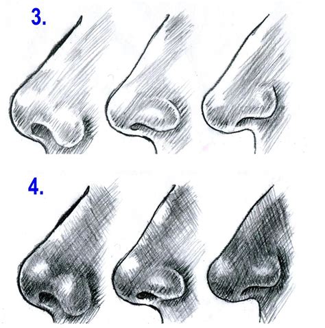 Шаги рисования носа карандашом