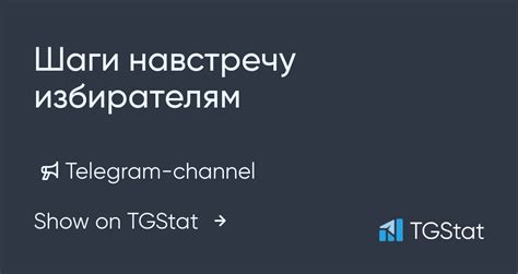 Шаги установки tgstat