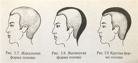 Шаг 1: Закругленная форма головы